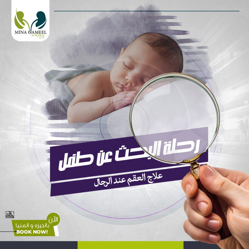 The Journey to Parenthood